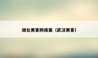 湖北黑客网络案(武汉黑客)