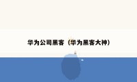 华为公司黑客（华为黑客大神）