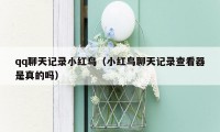 qq聊天记录小红鸟(小红鸟聊天记录查看器是真的吗)
