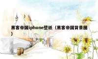 黑客帝国iphone壁纸(黑客帝国背景图)