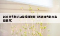 越南黑客组织功能受限视频（黑客曝光越南监控视频）