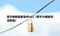 犀牛破解版兼容Win11(犀牛50破解安装教程)