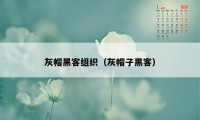 灰帽黑客组织(灰帽子黑客)