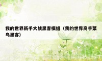 我的世界新手大战黑客模组(我的世界高手菜鸟黑客)