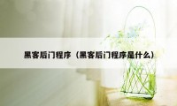 黑客后门程序(黑客后门程序是什么)