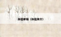 孙猛邮箱(孙猛简介)