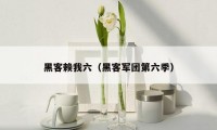 黑客赖我六(黑客军团第六季)