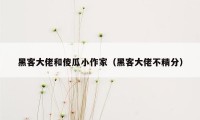黑客大佬和傻瓜小作家（黑客大佬不精分）