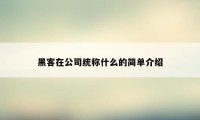 黑客在公司统称什么的简单介绍