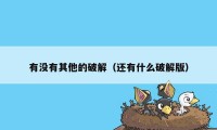 有没有其他的破解(还有什么破解版)