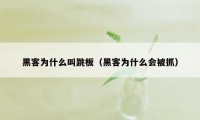 黑客为什么叫跳板（黑客为什么会被抓）