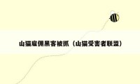 山猫雇佣黑客被抓(山猫受害者联盟)