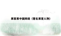 黑客黑中国网络（著名黑客人物）