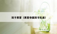双子黑客(黑客帝国双子兄弟)