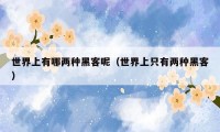 世界上有哪两种黑客呢(世界上只有两种黑客)