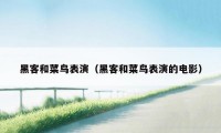 黑客和菜鸟表演（黑客和菜鸟表演的电影）