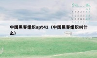 中国黑客组织apt41（中国黑客组织叫什么）