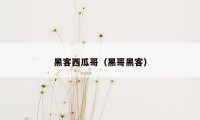 黑客西瓜哥（黑哥黑客）