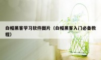 白帽黑客学习软件图片(白帽黑客入门必备教程)