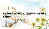 黑客软件终端下载地址（黑客软件终端下载地址是什么）