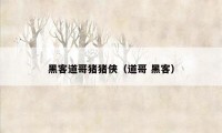 黑客道哥猪猪侠(道哥 黑客)