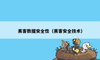 黑客数据安全性(黑客安全技术)