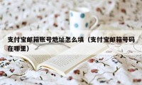 支付宝邮箱账号地址怎么填（支付宝邮箱号码在哪里）