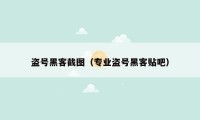 盗号黑客截图（专业盗号黑客贴吧）