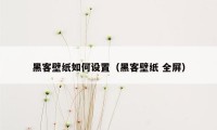 黑客壁纸如何设置(黑客壁纸 全屏)