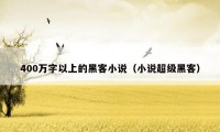 400万字以上的黑客小说(小说超级黑客)