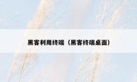 黑客利用终端(黑客终端桌面)