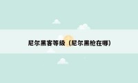 尼尔黑客等级(尼尔黑枪在哪)