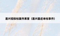 嘉兴招投标案件黑客(嘉兴最近串标事件)