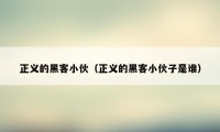 正义的黑客小伙（正义的黑客小伙子是谁）