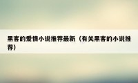 黑客的爱情小说推荐最新(有关黑客的小说推荐)