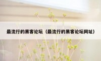 最流行的黑客论坛(最流行的黑客论坛网址)